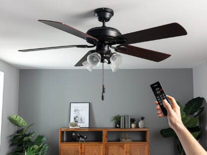 A hand holding a remote points at a black ceiling fan with four blades and lights, mounted in a modern room with gray walls and plants.
